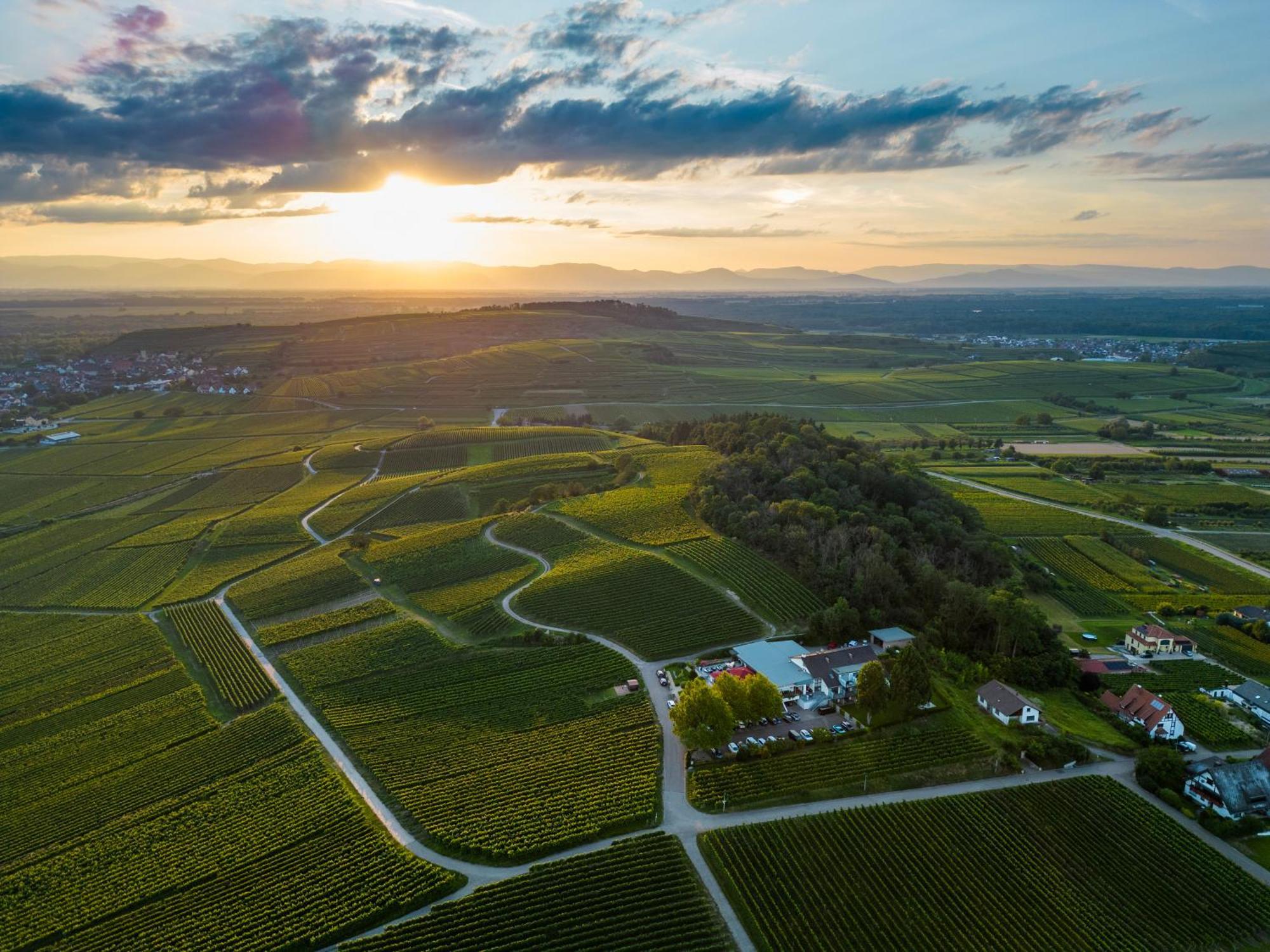 Hotel Koepfers Steinbuck Bischoffingen Zewnętrze zdjęcie