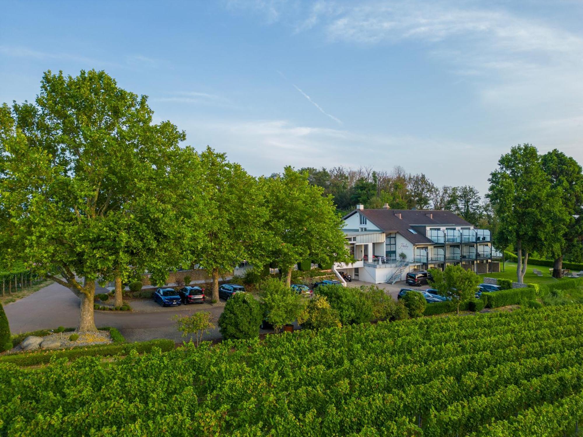 Hotel Koepfers Steinbuck Bischoffingen Zewnętrze zdjęcie